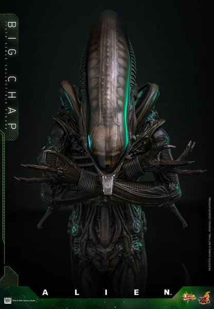 ALIEN – FIGURA BIG CHAP 1/6 (HOT TOYS – MOVIE MASTERPIECE) 36 CM