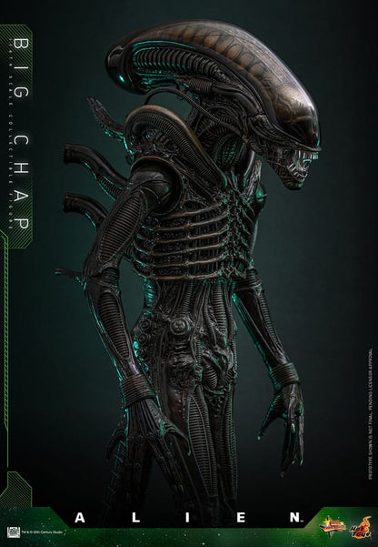 ALIEN – FIGURA BIG CHAP 1/6 (HOT TOYS – MOVIE MASTERPIECE) 36 CM