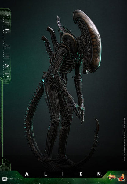 ALIEN – FIGURA BIG CHAP 1/6 (HOT TOYS – MOVIE MASTERPIECE) 36 CM