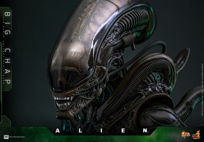 ALIEN – FIGURA BIG CHAP 1/6 (HOT TOYS – MOVIE MASTERPIECE) 36 CM