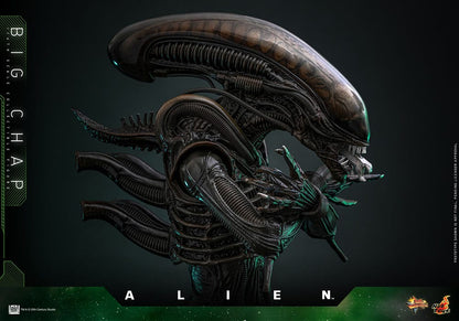 ALIEN – FIGURA BIG CHAP 1/6 (HOT TOYS – MOVIE MASTERPIECE) 36 CM