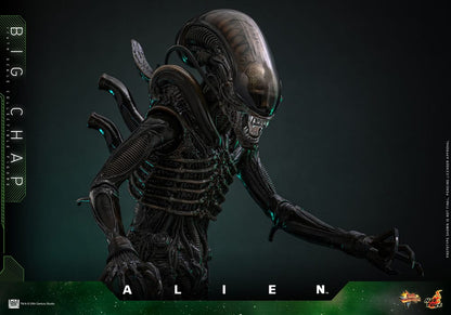 ALIEN – FIGURA BIG CHAP 1/6 (HOT TOYS – MOVIE MASTERPIECE) 36 CM