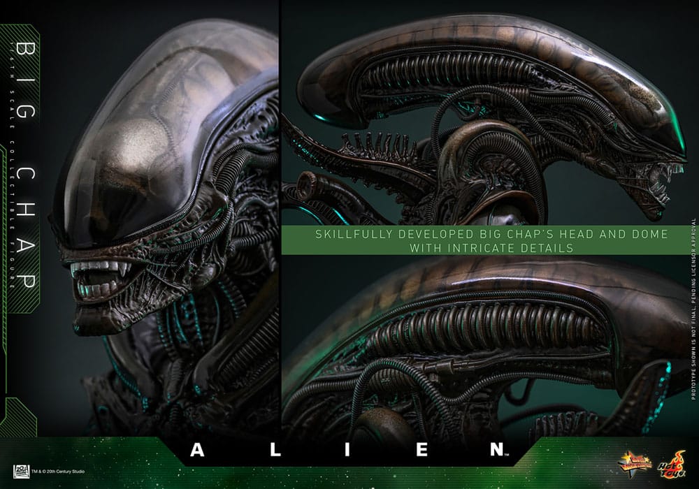 ALIEN – FIGURA BIG CHAP 1/6 (HOT TOYS – MOVIE MASTERPIECE) 36 CM