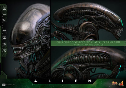 ALIEN – FIGURA BIG CHAP 1/6 (HOT TOYS – MOVIE MASTERPIECE) 36 CM