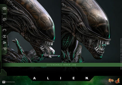 ALIEN – FIGURA BIG CHAP 1/6 (HOT TOYS – MOVIE MASTERPIECE) 36 CM