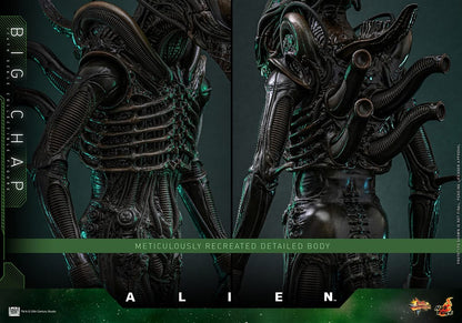 ALIEN – FIGURA BIG CHAP 1/6 (HOT TOYS – MOVIE MASTERPIECE) 36 CM