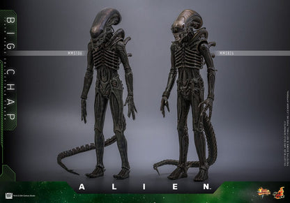 ALIEN – FIGURA BIG CHAP 1/6 (HOT TOYS – MOVIE MASTERPIECE) 36 CM