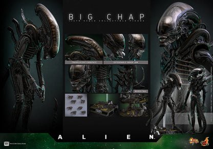 ALIEN – FIGURA BIG CHAP 1/6 (HOT TOYS – MOVIE MASTERPIECE) 36 CM