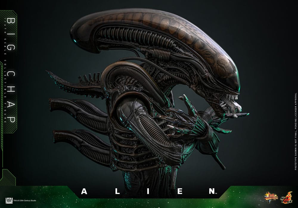 ALIEN – FIGURA BIG CHAP 1/6 (HOT TOYS – MOVIE MASTERPIECE) 36 CM