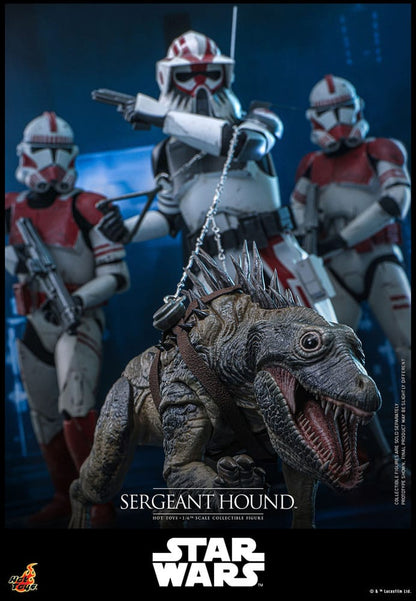 SERGEANT HOUND – STAR WARS: THE CLONE WARS 1/6 SCALE FIGURE 30 CM (HOT TOYS – COLLECTOR EDITION)
