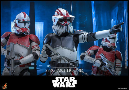 SERGEANT HOUND – STAR WARS: THE CLONE WARS 1/6 SCALE FIGURE 30 CM (HOT TOYS – COLLECTOR EDITION)