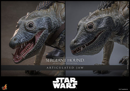 SERGEANT HOUND – STAR WARS: THE CLONE WARS 1/6 SCALE FIGURE 30 CM (HOT TOYS – COLLECTOR EDITION)