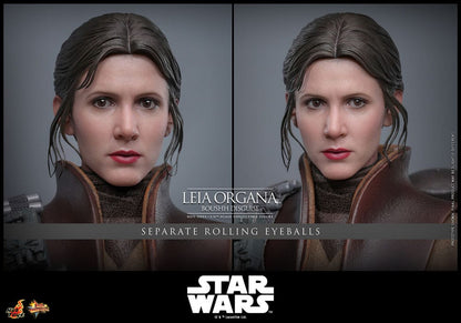 LEIA ORGANA – MOVIE MASTERPIECE 1/6 (BOUSHH DISGUISE) HOT TOYS – STAR WARS, 27 CM