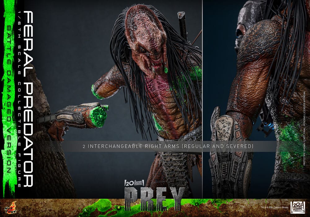 FERAL PREDATOR (BATTLE DAMAGED VERSION) – FIGURA 1/6 – PREY (HOT TOYS)