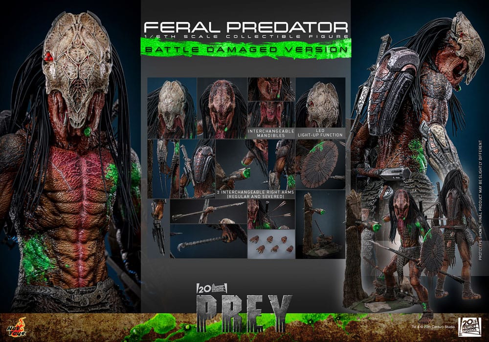 FERAL PREDATOR (BATTLE DAMAGED VERSION) – FIGURA 1/6 – PREY (HOT TOYS)