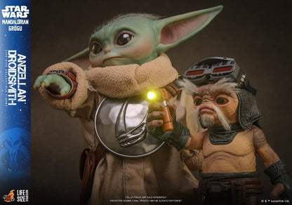 ANZELLAN DROIDSITH 27 CM - HOT TOYS – STAR WARS: THE MANDALORIAN & GROGU