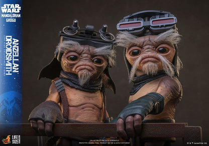 ANZELLAN DROIDSITH 27 CM - HOT TOYS – STAR WARS: THE MANDALORIAN & GROGU