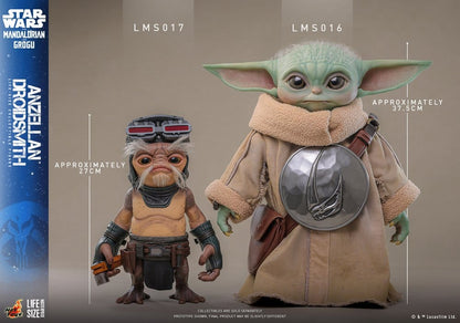 ANZELLAN DROIDSITH 27 CM - HOT TOYS – STAR WARS: THE MANDALORIAN & GROGU