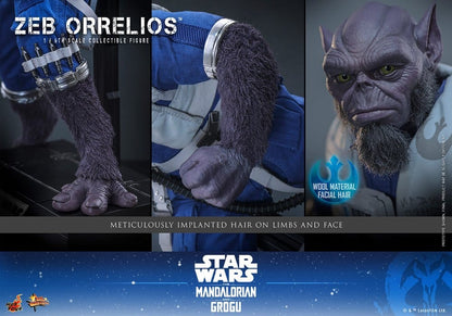 ZEB ORRELIOS – 1/6 (HOT TOYS – STAR WARS: THE MANDALORIAN)