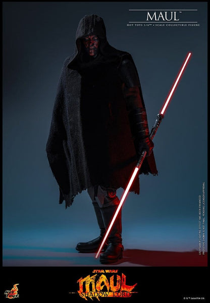 MAUL – SEÑOR DE LAS SOMBRAS FIGURA 1/6 29 CM (HOT TOYS)