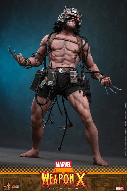 WEAPON X – FIGURA 1/6 31 CM (HOT TOYS)