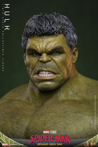 HULK FIGURA 1/6 HOT TOYS MARVEL SPIDER-MAN: BRAND NEW DAY 51 CM