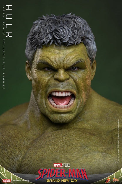 HULK FIGURA 1/6 HOT TOYS MARVEL SPIDER-MAN: BRAND NEW DAY 51 CM