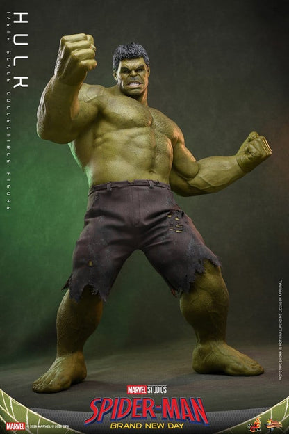 HULK FIGURA 1/6 HOT TOYS MARVEL SPIDER-MAN: BRAND NEW DAY 51 CM