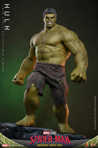 HULK FIGURA 1/6 HOT TOYS MARVEL SPIDER-MAN: BRAND NEW DAY 51 CM