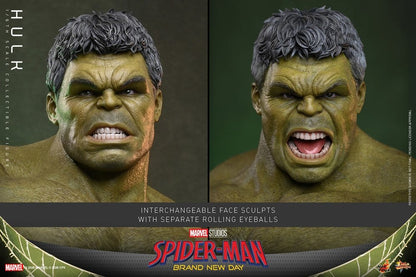 HULK FIGURA 1/6 HOT TOYS MARVEL SPIDER-MAN: BRAND NEW DAY 51 CM