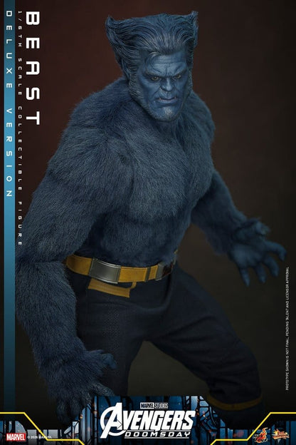 BEAST X-MEN AVENGERS DOOMSDAY MOVIE MASTERPIECE 1/6 DELUXE VERSION 33 CM HOT TOYS