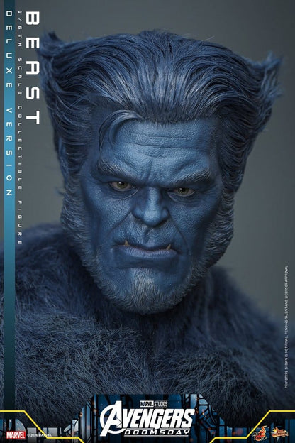 BEAST X-MEN AVENGERS DOOMSDAY MOVIE MASTERPIECE 1/6 DELUXE VERSION 33 CM HOT TOYS