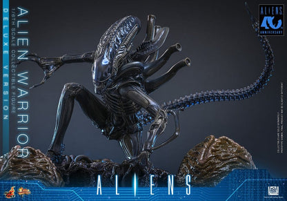ALIEN WARRIOR DELUXE VERSION 1/6 (HOT TOYS – ALIENS)