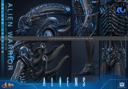 ALIEN WARRIOR DELUXE VERSION 1/6 (HOT TOYS – ALIENS)
