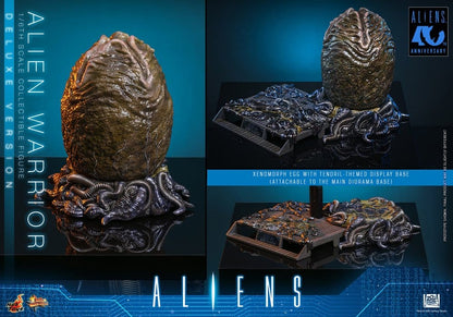 ALIEN WARRIOR DELUXE VERSION 1/6 (HOT TOYS – ALIENS)