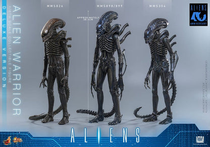 ALIEN WARRIOR DELUXE VERSION 1/6 (HOT TOYS – ALIENS)