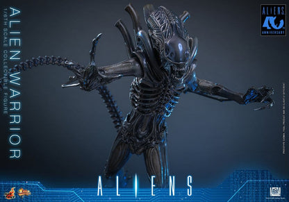 ALIEN WARRIOR 1/6 (HOT TOYS – ALIENS)