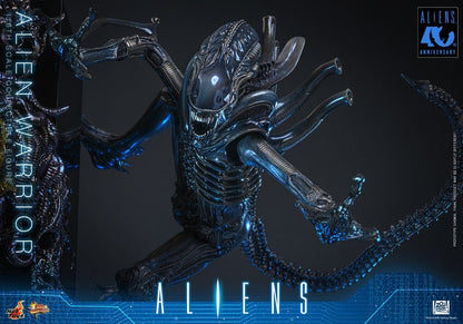 ALIEN WARRIOR 1/6 (HOT TOYS – ALIENS)