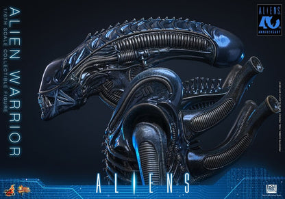 ALIEN WARRIOR 1/6 (HOT TOYS – ALIENS)