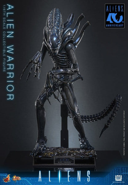 ALIEN WARRIOR 1/6 (HOT TOYS – ALIENS)
