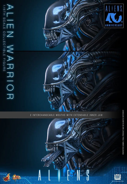 ALIEN WARRIOR 1/6 (HOT TOYS – ALIENS)