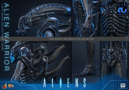 ALIEN WARRIOR 1/6 (HOT TOYS – ALIENS)