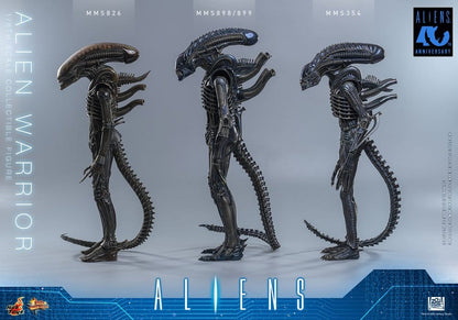 ALIEN WARRIOR 1/6 (HOT TOYS – ALIENS)
