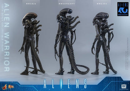 ALIEN WARRIOR 1/6 (HOT TOYS – ALIENS)