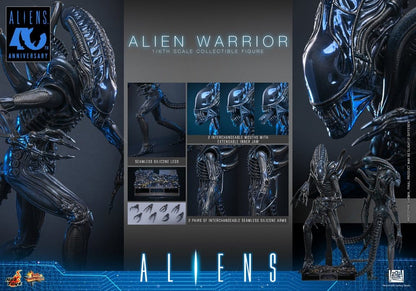 ALIEN WARRIOR 1/6 (HOT TOYS – ALIENS)