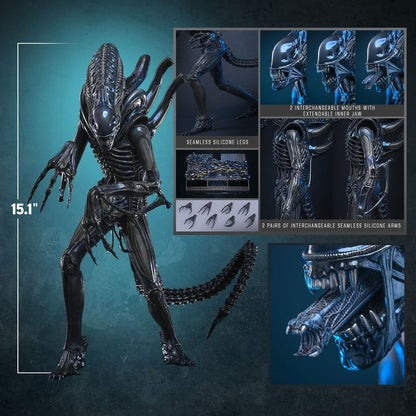 ALIEN WARRIOR 1/6 (HOT TOYS – ALIENS)
