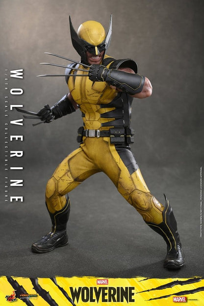 WOLVERINE MARVEL'S WOLVERINE HOT TOYS VGM 1/6 29 CM
