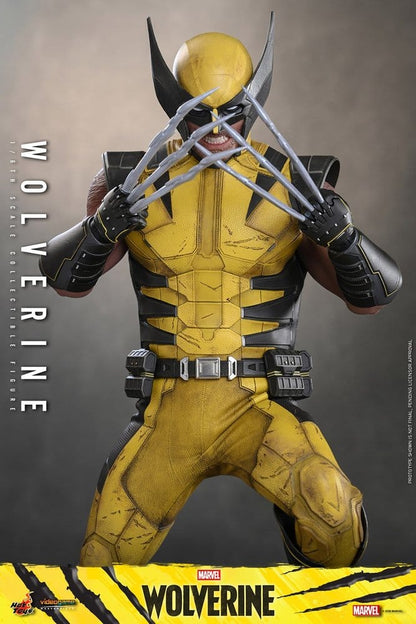 WOLVERINE MARVEL'S WOLVERINE HOT TOYS VGM 1/6 29 CM