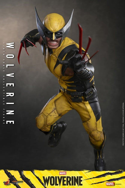 WOLVERINE MARVEL'S WOLVERINE HOT TOYS VGM 1/6 29 CM