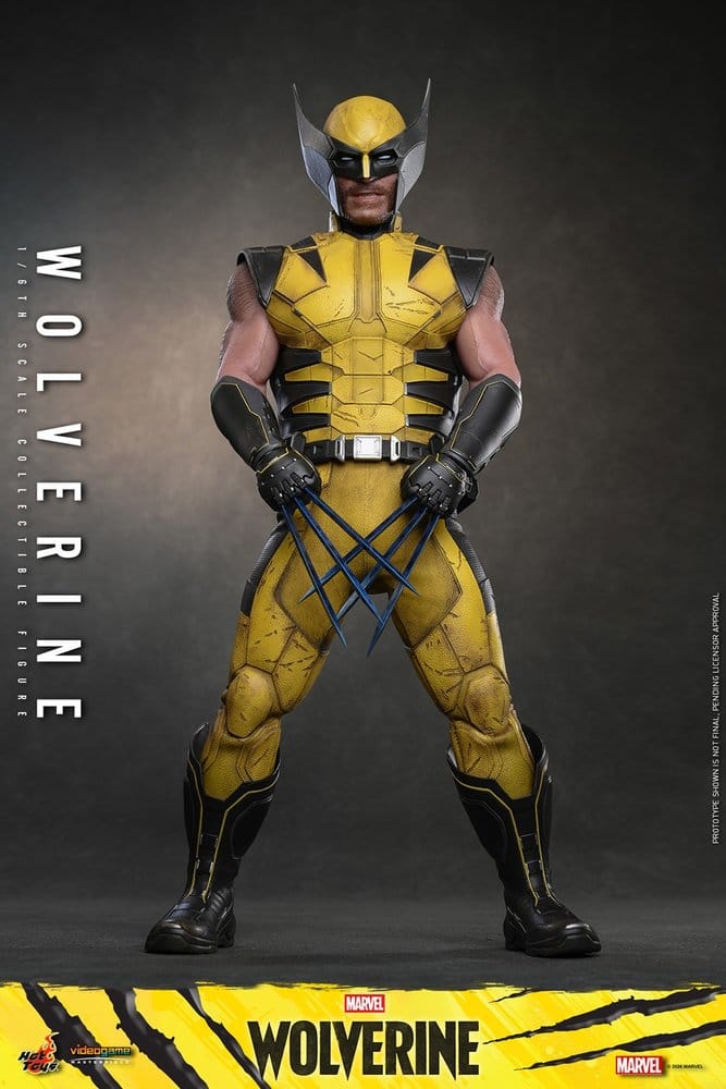WOLVERINE MARVEL'S WOLVERINE HOT TOYS VGM 1/6 29 CM